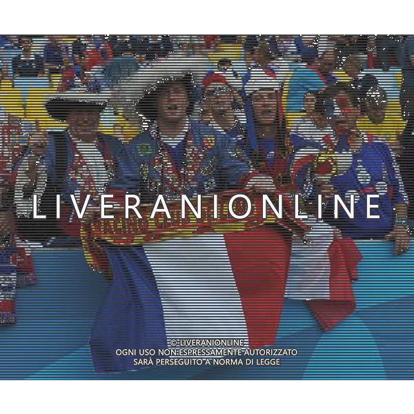 FIFA World Cup Brasile 2014 Gruppo E Rio de Janeiro - 25.06.2014 Ecuador-Francia Nella Foto:TIFOSI FRANCIA /Ph.Vitez-Ag. Aldo Liverani