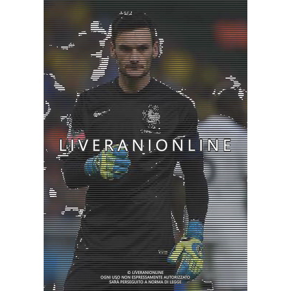 FIFA World Cup Brasile 2014 Gruppo E Rio de Janeiro - 25.06.2014 Ecuador-Francia Nella Foto:lloris /Ph.Vitez-Ag. Aldo Liverani