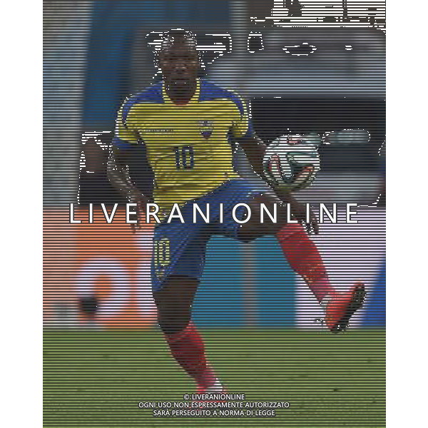 FIFA World Cup Brasile 2014 Gruppo E Rio de Janeiro - 25.06.2014 Ecuador-Francia Nella Foto:ayovi /Ph.Vitez-Ag. Aldo Liverani