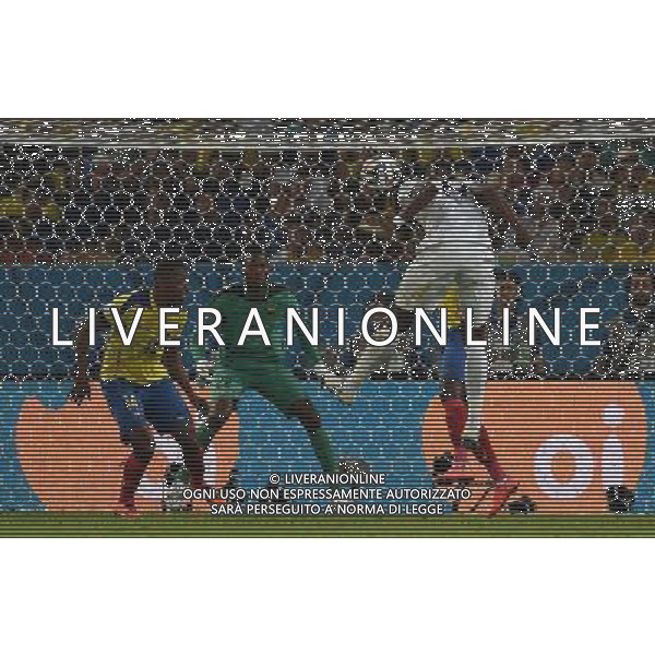 FIFA World Cup Brasile 2014 Gruppo E Rio de Janeiro - 25.06.2014 Ecuador-Francia Nella Foto:occasione pogba /Ph.Vitez-Ag. Aldo Liverani