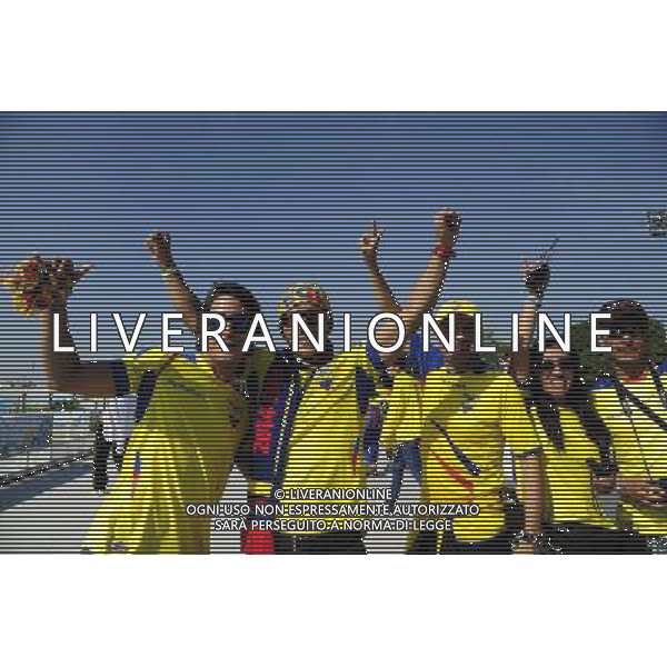 Supporters Equateur - 25.06.2014 - France / Equateur - Coupe du Monde 2014 -Rio de Janeiro- Photo : Dave Winter / Icon Sport /AGENZIA ALDO LIVERANI SAS - ITALY ONLY - Ecuador - Francia FIFA World Cup Brasile 2014 Gruppo E Rio de Janeiro - 25.06.2014