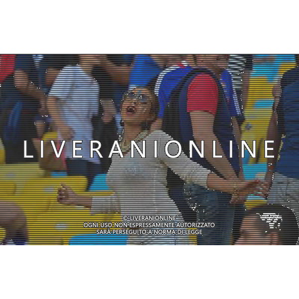 Supporters France - 25.06.2014 - France / Equateur - Coupe du Monde 2014 - Photo : Dave Winter / Icon Sport /AGENZIA ALDO LIVERANI SAS - ITALY ONLY - Ecuador - Francia FIFA World Cup Brasile 2014 Gruppo E Rio de Janeiro - 25.06.2014