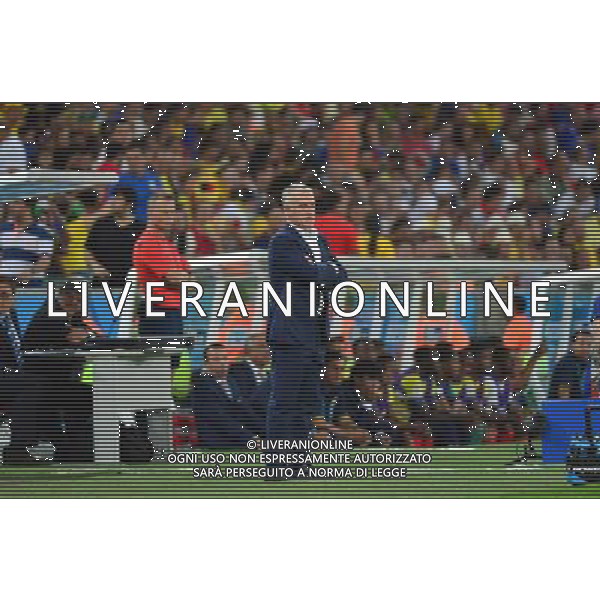 Didier DESCHAMPS - 25.06.2014 - France / Equateur - Coupe du Monde 2014 - Photo : Dave Winter / Icon Sport /AGENZIA ALDO LIVERANI SAS - ITALY ONLY - Ecuador - Francia FIFA World Cup Brasile 2014 Gruppo E Rio de Janeiro - 25.06.2014
