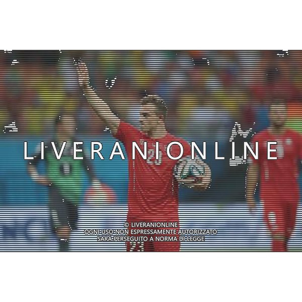 (140625) -- MANAUS, June 25, 2014 () -- Switzerland\'s Xherdan Shaqiri greets the audience after a Group E match between Honduras and Switzerland of 2014 FIFA World Cup at the Arena Amazonia Stadium in Manaus, Brazil, on June 25, 2014. Switzerland won 3-0 over Honduras on Wednesday. (/Li Ming)(pcy) AG ALDO LIVERANI SAS ONLY ITALY