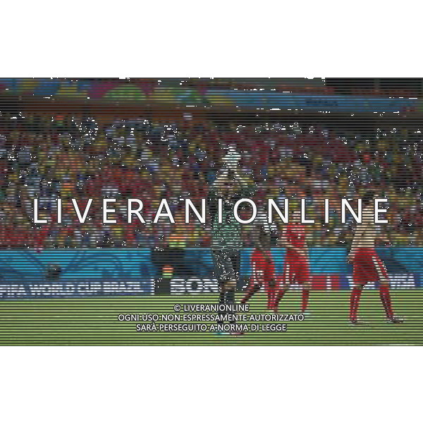 (140625) -- MANAUS, June 25, 2014 () -- Switzerland\'s goalkeeper Diego Benaglio (1st L) applauds the audience after a Group E match between Honduras and Switzerland of 2014 FIFA World Cup at the Arena Amazonia Stadium in Manaus, Brazil, on June 25, 2014. Switzerland won 3-0 over Honduras on Wednesday. (/Li Ming)(pcy) AG ALDO LIVERANI SAS ONLY ITALY
