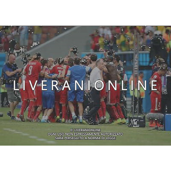(140625) -- MANAUS, June 25, 2014 () -- Switzerland\'s players celebrate the victory after a Group E match between Honduras and Switzerland of 2014 FIFA World Cup at the Arena Amazonia Stadium in Manaus, Brazil, on June 25, 2014. Switzerland won 3-0 over Honduras on Wednesday. (/Li Ming)(pcy) AG ALDO LIVERANI SAS ONLY ITALY