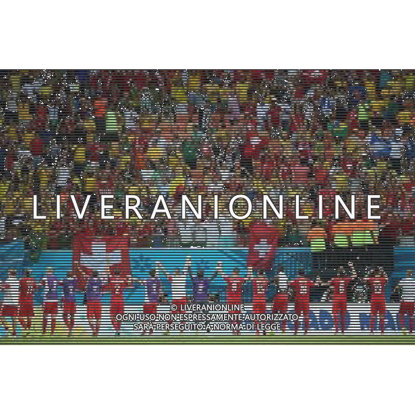(140625) -- MANAUS, June 25, 2014 () -- Switzerland\'s players applaud the audience after a Group E match between Honduras and Switzerland of 2014 FIFA World Cup at the Arena Amazonia Stadium in Manaus, Brazil, on June 25, 2014. Switzerland won 3-0 over Honduras on Wednesday. (/Li Ming)(pcy) AG ALDO LIVERANI SAS ONLY ITALY