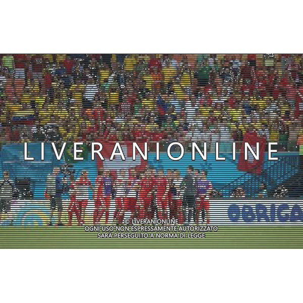 (140625) -- MANAUS, June 25, 2014 () -- Switzerland\'s players celebrate the victory after a Group E match between Honduras and Switzerland of 2014 FIFA World Cup at the Arena Amazonia Stadium in Manaus, Brazil, on June 25, 2014. Switzerland won 3-0 over Honduras on Wednesday. (/Li Ming)(pcy) AG ALDO LIVERANI SAS ONLY ITALY