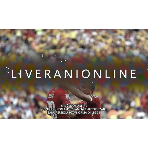 (140625) -- MANAUS, June 25, 2014 () -- Switzerland\'s Xherdan Shaqiri (R) celebrates for scoring his second goal during a Group E match between Honduras and Switzerland of 2014 FIFA World Cup at the Arena Amazonia Stadium in Manaus, Brazil, on June 25, 2014.(/Li Ming)(pcy) AG ALDO LIVERANI SAS ONLY ITALY