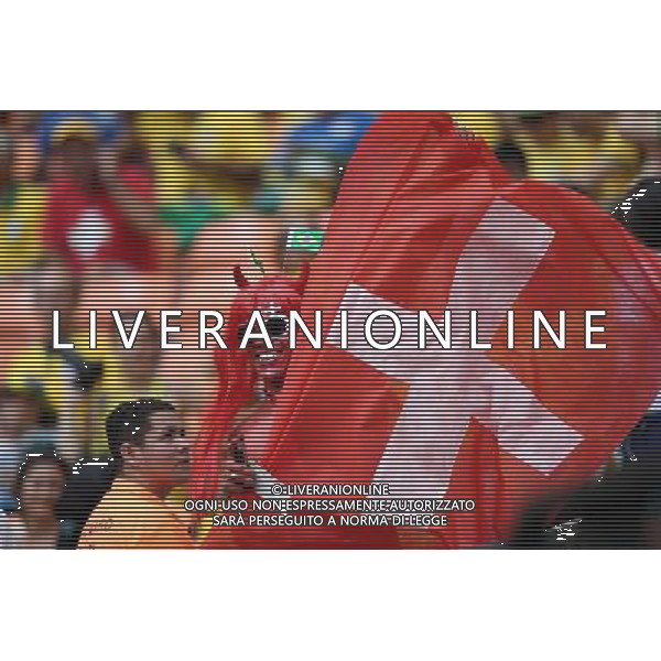 (140625) -- MANAUS, June 25, 2014 () -- A Switzerland\'s supporter waves a Switzerland\'s national flag before a Group E match between Honduras and Switzerland of 2014 FIFA World Cup at the Arena Amazonia Stadium in Manaus, Brazil, on June 25, 2014.(/Li Ming)(pcy) AG ALDO LIVERANI SAS ONLY ITALY