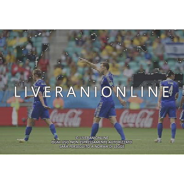 (140625) -- SALVADOR, June 25, 2014 () -- Bosnia And Herzegovina\'s Edin Dzeko (C) celebrates the goal durng a Group F match between Bosnia And Herzegovina and Iran of 2014 FIFA World Cup at the Arena Fonte Nova Stadium in Salvador, Brazil, June 24, 2014. (/Yang Lei) AG ALDO LIVERANI SAS ONLY ITALY