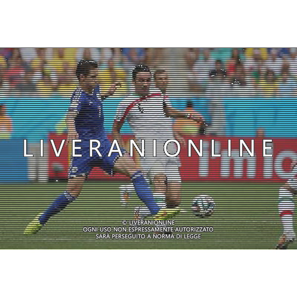 (140625) -- SALVADOR, June 25, 2014 () -- Bosnia And Herzegovina\'s Muhamed Besic vies with Iran\'s Javad Nekounam during a Group F match between Bosnia And Herzegovina and Iran of 2014 FIFA World Cup at the Arena Fonte Nova Stadium in Salvador, Brazil, June 24, 2014. (/Cao Can) AG ALDO LIVERANI SAS ONLY ITALY