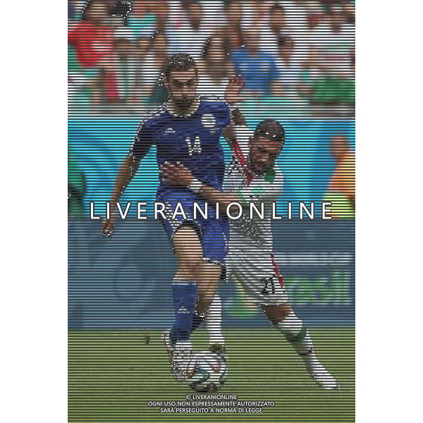 (140625) -- SALVADOR, June 25, 2014 () -- Bosnia And Herzegovina\'s Tino Susic vies with Iran\'s Ashkan Dejagah during a Group F match between Bosnia And Herzegovina and Iran of 2014 FIFA World Cup at the Arena Fonte Nova Stadium in Salvador, Brazil, June 24, 2014. (/Cao Can) AG ALDO LIVERANI SAS ONLY ITALY