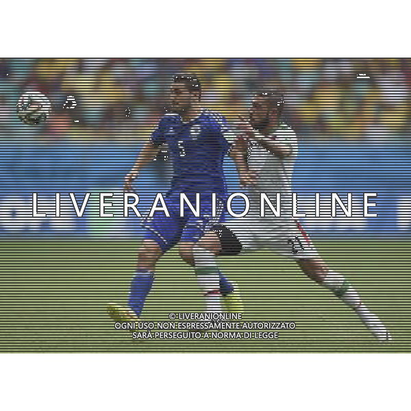 (140625) -- SALVADOR, June 25, 2014 () -- Iran\'s Ashkan Dejagah (R) vies for the ball with Bosnia And Herzegovina\'s Sead Kolasinac during a Group F match between Bosnia And Herzegovina and Iran of 2014 FIFA World Cup at the Arena Fonte Nova Stadium in Salvador, Brazil, June 24, 2014. (/Yang Lei) AG ALDO LIVERANI SAS ONLY ITALY
