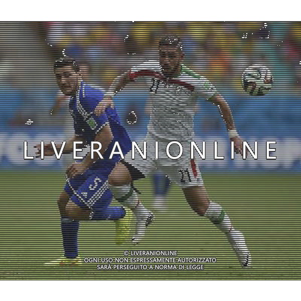 (140625) -- SALVADOR, June 25, 2014 () -- Iran\'s Ashkan Dejagah (R) vies for the ball with Bosnia And Herzegovina\'s Sead Kolasinac during a Group F match between Bosnia And Herzegovina and Iran of 2014 FIFA World Cup at the Arena Fonte Nova Stadium in Salvador, Brazil, June 24, 2014. (/Yang Lei) AG ALDO LIVERANI SAS ONLY ITALY