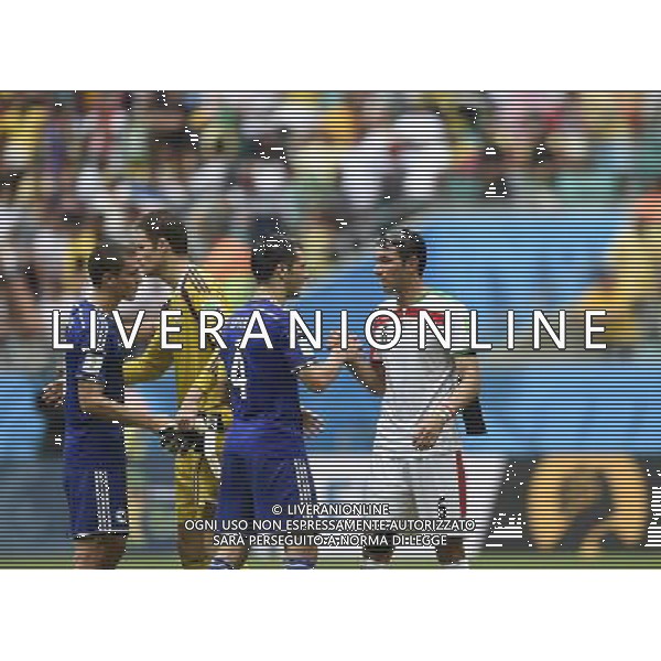 (140625) -- SALVADOR, June 25, 2014 () -- Bosnia And Herzegovina\'s Emir Spahic (2nd R) shakes hands with Iran\'s Javad Nekounam (R) after a Group F match between Bosnia And Herzegovina and Iran of 2014 FIFA World Cup at the Arena Fonte Nova Stadium in Salvador, Brazil, June 24, 2014. Bosnia And Herzegovina won 3-1 over Iran on Wednesday.(/Yang Lei) AG ALDO LIVERANI SAS ONLY ITALY