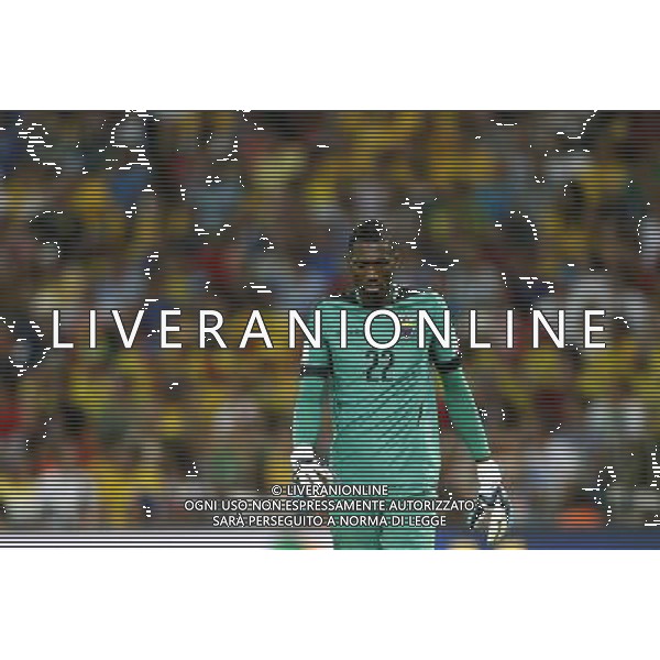 (140625) -- RIO DE JANEIRO, June 25, 2014 () -- Ecuador\'s goalkeeper Alexander Dominguez reacts aftera Group E match between Ecuador and France of 2014 FIFA World Cup at the Estadio do Maracana Stadium in Rio de Janeiro, Brazil, June 25, 2014. The match ended in a 0-0 draw. (/Wang Lili) AG ALDO LIVERANI SAS ONLY ITALY