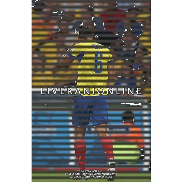 (140625) -- RIO DE JANEIRO, June 25, 2014 () -- Ecuador\'s Cristian Noboa leaves the field after being hit on the head during a Group E match between Ecuador and France of 2014 FIFA World Cup at the Estadio do Maracana Stadium in Rio de Janeiro, Brazil, June 25, 2014. (/Xu Zijian) AG ALDO LIVERANI SAS ONLY ITALY