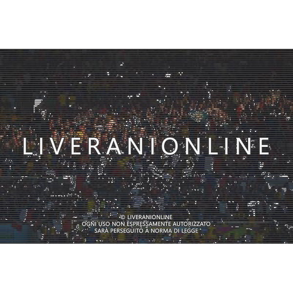 (140625) -- RIO DE JANEIRO, June 25, 2014 () -- Ecuador\'s fans pose before a Group E match between Ecuador and France of 2014 FIFA World Cup at the Estadio do Maracana Stadium in Rio de Janeiro, Brazil, June 25, 2014. (/Wang Yuguo) AG ALDO LIVERANI SAS ONLY ITALY