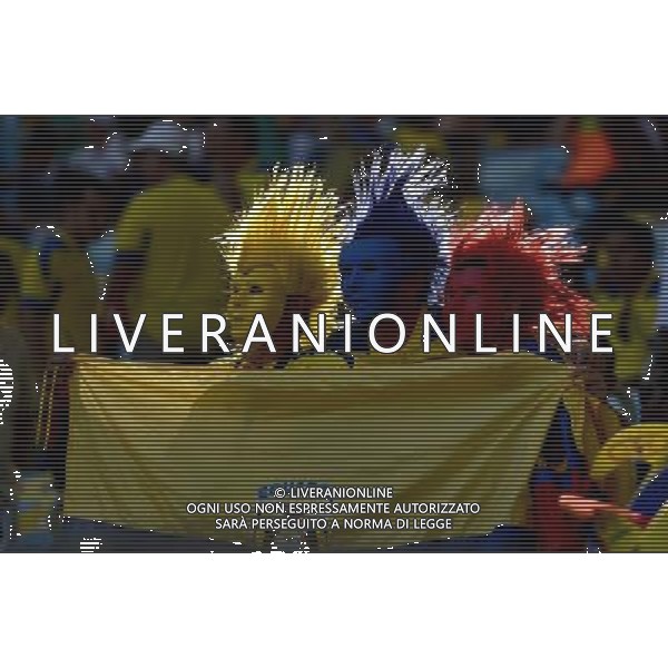 (140625) -- RIO DE JANEIRO, June 25, 2014 () -- Ecuador\'s fans pose before a Group E match between Ecuador and France of 2014 FIFA World Cup at the Estadio do Maracana Stadium in Rio de Janeiro, Brazil, June 25, 2014. (/Wang Yuguo) AG ALDO LIVERANI SAS ONLY ITALY