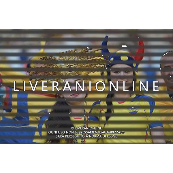 (140625) -- RIO DE JANEIRO, June 25, 2014 () -- Ecuador\'s fans pose before a Group E match between Ecuador and France of 2014 FIFA World Cup at the Estadio do Maracana Stadium in Rio de Janeiro, Brazil, June 25, 2014. (/Wang Yuguo) AG ALDO LIVERANI SAS ONLY ITALY
