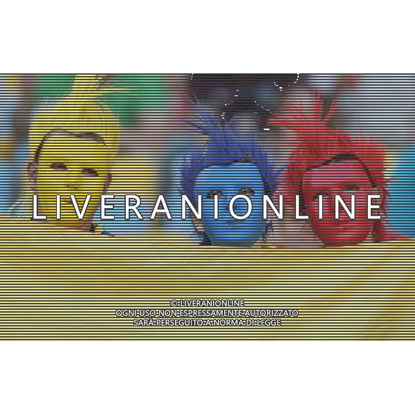 (140625) -- RIO DE JANEIRO, June 25, 2014 () -- Ecuador\'s fans pose before a Group E match between Ecuador and France of 2014 FIFA World Cup at the Estadio do Maracana Stadium in Rio de Janeiro, Brazil, June 25, 2014. (/Xu Zijian) AG ALDO LIVERANI SAS ONLY ITALY