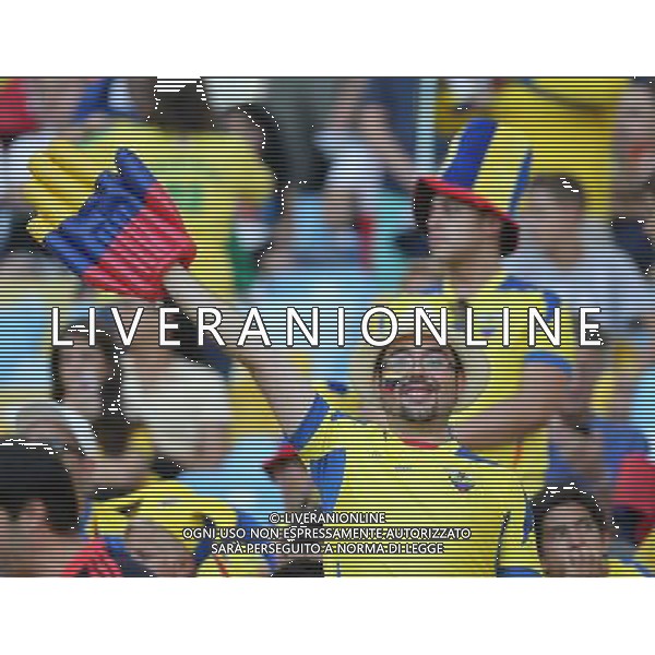 (140625) -- RIO DE JANEIRO, June 25, 2014 () -- An Ecuador\'s fan poses before a Group E match between Ecuador and France of 2014 FIFA World Cup at the Estadio do Maracana Stadium in Rio de Janeiro, Brazil, June 25, 2014. (/Xu Zijian) AG ALDO LIVERANI SAS ONLY ITALY