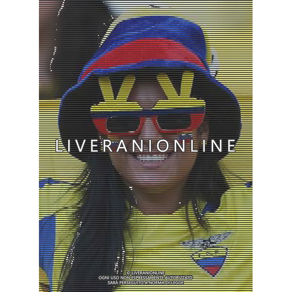 (140625) -- RIO DE JANEIRO, June 25, 2014 () -- An Ecuador\'s fan poses before a Group E match between Ecuador and France of 2014 FIFA World Cup at the Estadio do Maracana Stadium in Rio de Janeiro, Brazil, June 25, 2014. (/Xu Zijian) AG ALDO LIVERANI SAS ONLY ITALY