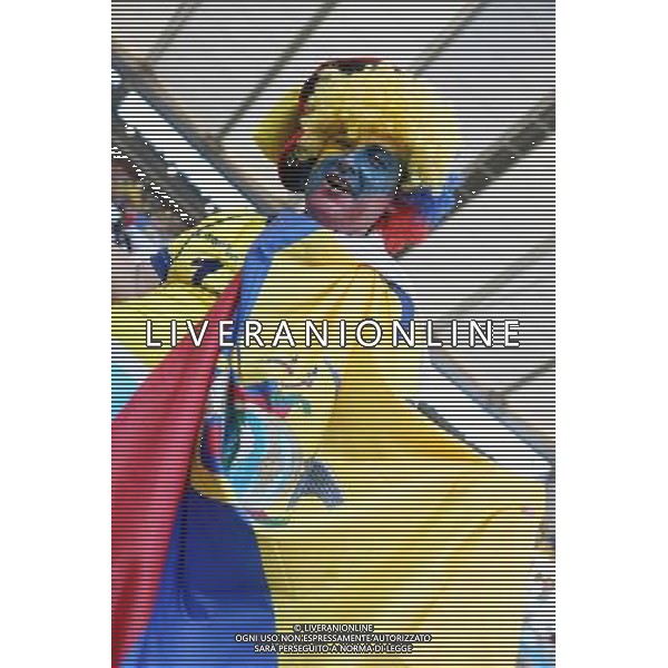 (140625) -- RIO DE JANEIRO, June 25, 2014 () -- An Ecuador\'s fan poses before a Group E match between Ecuador and France of 2014 FIFA World Cup at the Estadio do Maracana Stadium in Rio de Janeiro, Brazil, June 25, 2014. (/Xu Zijian) AG ALDO LIVERANI SAS ONLY ITALY