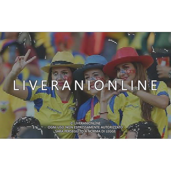 (140625) -- RIO DE JANEIRO, June 25, 2014 () -- Ecuador\'s fans pose before a Group E match between Ecuador and France of 2014 FIFA World Cup at the Estadio do Maracana Stadium in Rio de Janeiro, Brazil, June 25, 2014. (/Xu Zijian) AG ALDO LIVERANI SAS ONLY ITALY