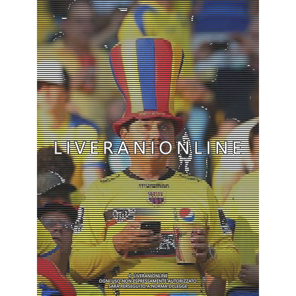 (140625) -- RIO DE JANEIRO, June 25, 2014 () -- An Ecuador\'s fan poses before a Group E match between Ecuador and France of 2014 FIFA World Cup at the Estadio do Maracana Stadium in Rio de Janeiro, Brazil, June 25, 2014. (/Xu Zijian) AG ALDO LIVERANI SAS ONLY ITALY