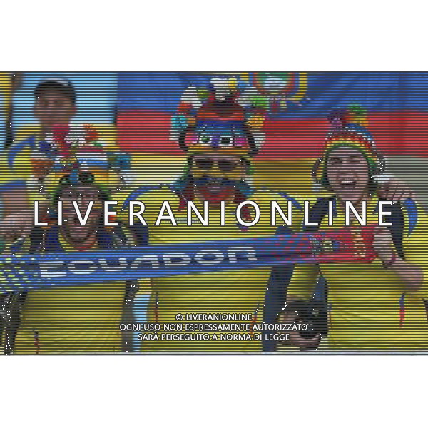 (140625) -- RIO DE JANEIRO, June 25, 2014 () -- Ecuador\'s fans pose before a Group E match between Ecuador and France of 2014 FIFA World Cup at the Estadio do Maracana Stadium in Rio de Janeiro, Brazil, June 25, 2014. (/Xu Zijian) AG ALDO LIVERANI SAS ONLY ITALY
