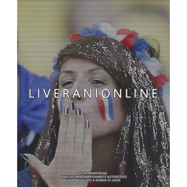 (140625) -- RIO DE JANEIRO, June 25, 2014 () -- A France\'s fan poses before a Group E match between Ecuador and France of 2014 FIFA World Cup at the Estadio do Maracana Stadium in Rio de Janeiro, Brazil, June 25, 2014. (/Wang Lili) AG ALDO LIVERANI SAS ONLY ITALY
