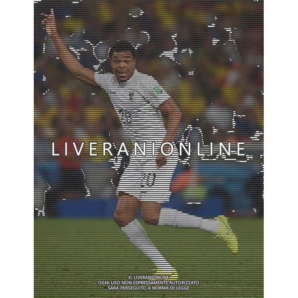 FIFA World Cup Brasile 2014 Gruppo E Rio de Janeiro - 25.06.2014 Ecuador-Francia Nella Foto:remy /Ph.Vitez-Ag. Aldo Liverani