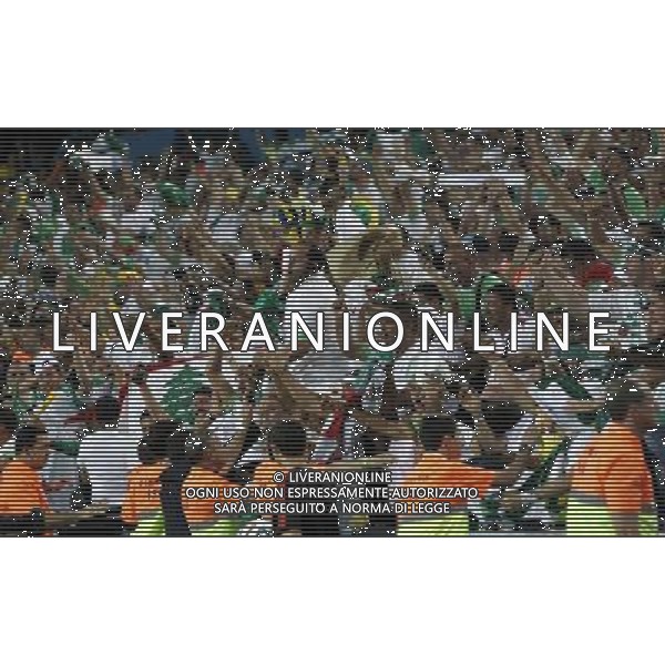 (140626) -- CURITIBA, June 26, 2014 () -- Algeria\'s fans celebrate the goal during a Group H match between Algeria and Russia of 2014 FIFA World Cup at the Arena da Baixada Stadium in Curitiba, Brazil, June 26, 2014. (/Zhou Lei) ©PHOTOHOT/Agenzia Aldo Liverani sas - ITALY ONLY - EDITORIAL USE ONLY