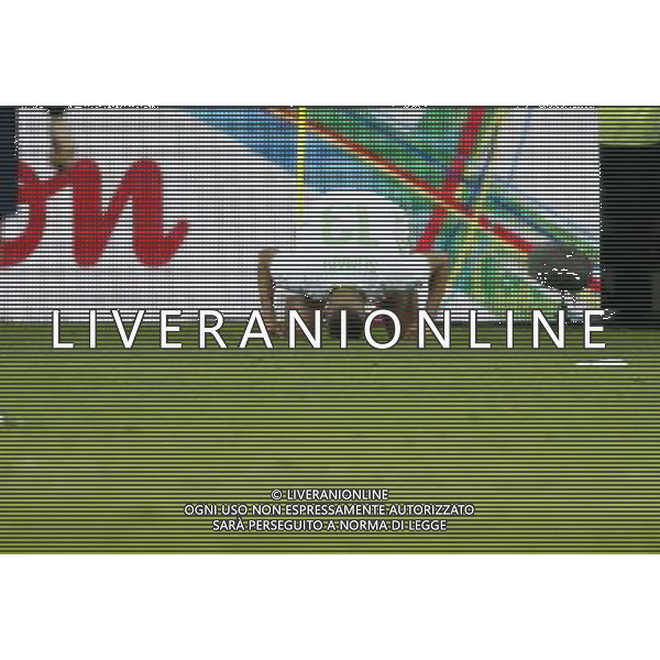 (140626) -- CURITIBA, June 26, 2014 () -- Algeria\'s Islam Slimani celebrates the goal during a Group H match between Algeria and Russia of 2014 FIFA World Cup at the Arena da Baixada Stadium in Curitiba, Brazil, June 26, 2014. (/Liao Yujie) ©PHOTOHOT/Agenzia Aldo Liverani sas - ITALY ONLY - EDITORIAL USE ONLY