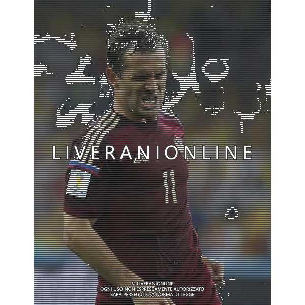 (140626) -- CURITIBA, June 26, 2014 () -- Russia\'s Aleksandr Kerzhakov reacts during a Group H match between Algeria and Russia of 2014 FIFA World Cup at the Arena da Baixada Stadium in Curitiba, Brazil, June 26, 2014. (/Liao Yujie) ©PHOTOHOT/Agenzia Aldo Liverani sas - ITALY ONLY - EDITORIAL USE ONLY