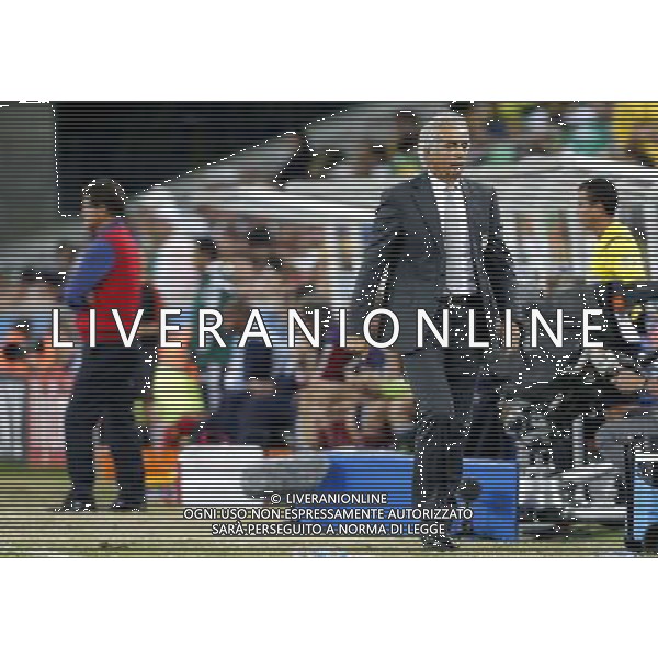 (140626) -- CURITIBA, June 26, 2014 () -- Algeria\'s coach Vahid Halilhodzic reacts during a Group H match between Algeria and Russia of 2014 FIFA World Cup at the Arena da Baixada Stadium in Curitiba, Brazil, June 26, 2014. (/Zhou Lei) ©PHOTOHOT/Agenzia Aldo Liverani sas - ITALY ONLY - EDITORIAL USE ONLY
