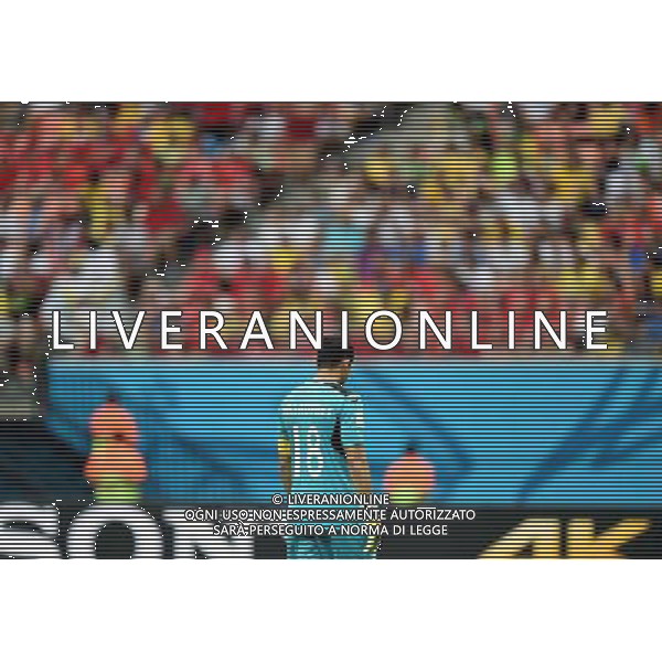 (140625) -- MANAUS, June 25, 2014 () -- Honduras\' goalkeeper Noel Valladares reacts after a Group E match between Honduras and Switzerland of 2014 FIFA World Cup at the Arena Amazonia Stadium in Manaus, Brazil, on June 25, 2014.(/Liu Dawei)(pcy) ©PHOTOSHOT/Agenzia Aldo Liverani sas - ITALY ONLY - EDITORIAL USE ONLY