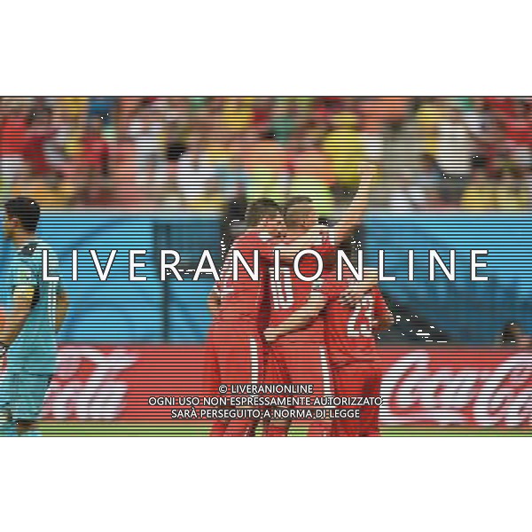 (140625) -- MANAUS, June 25, 2014 () -- Switzerland\'s players celebrate the victory after a Group E match between Honduras and Switzerland of 2014 FIFA World Cup at the Arena Amazonia Stadium in Manaus, Brazil, on June 25, 2014.(/Liu Dawei)(pcy) ©PHOTOSHOT/Agenzia Aldo Liverani sas - ITALY ONLY - EDITORIAL USE ONLY