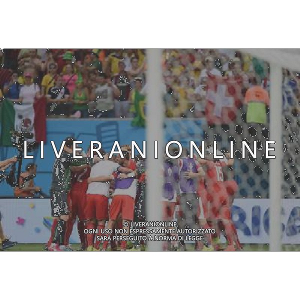 (140625) -- MANAUS, June 25, 2014 () -- Switzerland\'s players celebrate the victory after a Group E match between Honduras and Switzerland of 2014 FIFA World Cup at the Arena Amazonia Stadium in Manaus, Brazil, on June 25, 2014.(/Liu Dawei)(pcy) ©PHOTOSHOT/Agenzia Aldo Liverani sas - ITALY ONLY - EDITORIAL USE ONLY