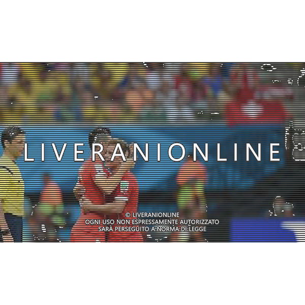 (140625) -- MANAUS, June 25, 2014 () -- Switzerland\'s Xherdan Shaqiri (R) is substituted by Blerim Dzemaili (C) during a Group E match between Honduras and Switzerland of 2014 FIFA World Cup at the Arena Amazonia Stadium in Manaus, Brazil, on June 25, 2014.(/Liu Dawei)(pcy) ©PHOTOSHOT/Agenzia Aldo Liverani sas - ITALY ONLY - EDITORIAL USE ONLY