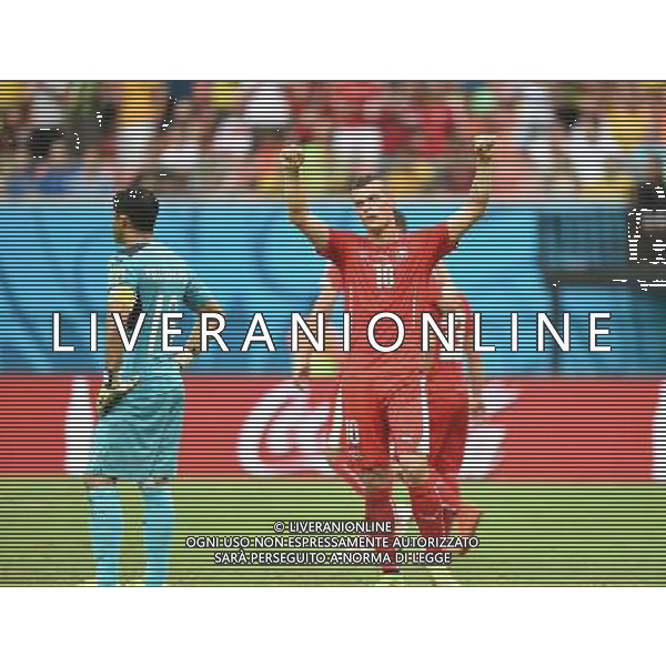 (140625) -- MANAUS, June 25, 2014 () -- Switzerland\'s Granit Xhaka (R, front)celebrates the victory after a Group E match between Honduras and Switzerland of 2014 FIFA World Cup at the Arena Amazonia Stadium in Manaus, Brazil, on June 25, 2014.(/Liu Dawei)(pcy) ©PHOTOSHOT/Agenzia Aldo Liverani sas - ITALY ONLY - EDITORIAL USE ONLY