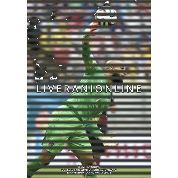 (140626) -- RECIFE, June 26, 2014 () -- Goalkeeper of the U.S. Tim Howard passes the ball during a Group G match between the U.S. and Germany of 2014 FIFA World Cup at the Arena Pernambuco Stadium in Recife, Brazil, on June 26, 2014.(/Lui Siu Wai)(pcy) ©PHOTOHOT/Agenzia Aldo Liverani sas - ITALY ONLY - EDITORIAL USE ONLY