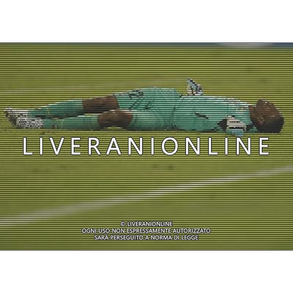 (140625) -- RIO DE JANEIRO, June 25, 2014 () -- Ecuador\'s goalkeeper Alexander Dominguez falls down during a Group E match between Ecuador and France of 2014 FIFA World Cup at the Estadio do Maracana Stadium in Rio de Janeiro, Brazil, June 25, 2014. The match ended in a 0-0 draw. (/Wang Lili) ©PHOTOSHOT/Agenzia Aldo Liverani sas - ITALY ONLY - EDITORIAL USE ONLY