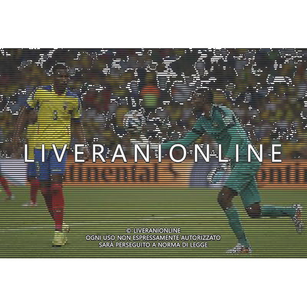 (140625) -- RIO DE JANEIRO, June 25, 2014 () -- Ecuador\'s goalkeeper Alexander Dominguez passes the ball during a Group E match between Ecuador and France of 2014 FIFA World Cup at the Estadio do Maracana Stadium in Rio de Janeiro, Brazil, June 25, 2014. The match ended in a 0-0 draw. (/Wang Lili) ©PHOTOSHOT/Agenzia Aldo Liverani sas - ITALY ONLY - EDITORIAL USE ONLY