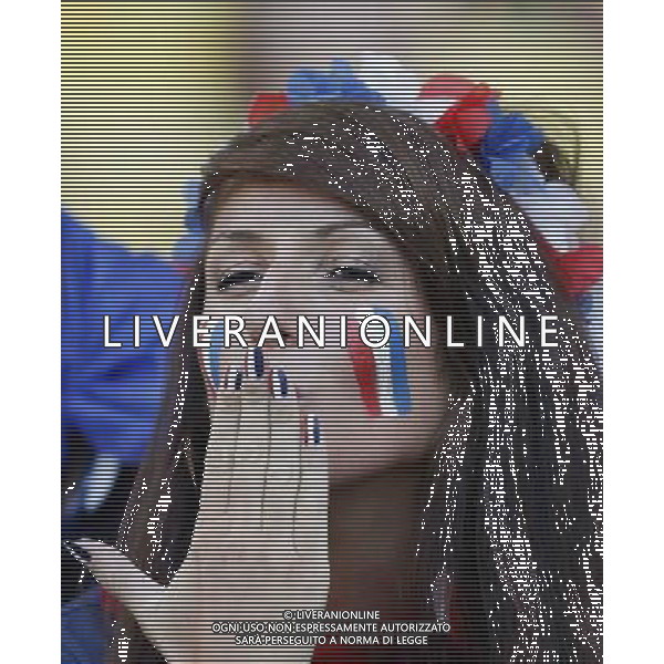 (140625) -- RIO DE JANEIRO, June 25, 2014 () -- A France\'s fan poses before a Group E match between Ecuador and France of 2014 FIFA World Cup at the Estadio do Maracana Stadium in Rio de Janeiro, Brazil, June 25, 2014. (/Wang Lili) ©PHOTOSHOT/Agenzia Aldo Liverani sas - ITALY ONLY - EDITORIAL USE ONLY