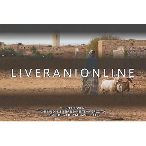 (140626) -- CHINGEUTTI, June 26, 2014 () -- A woman herds her goats at the town of Chinguetti, in Adrar Region, Mauritania, June 24, 2014. (/Li Jing)(lyi) ©PHOTOHOT/Agenzia Aldo Liverani sas - ITALY ONLY - EDITORIAL USE ONLY - Vedute della citta\' di Chinguetti, in Adrar Regione, Mauritania.