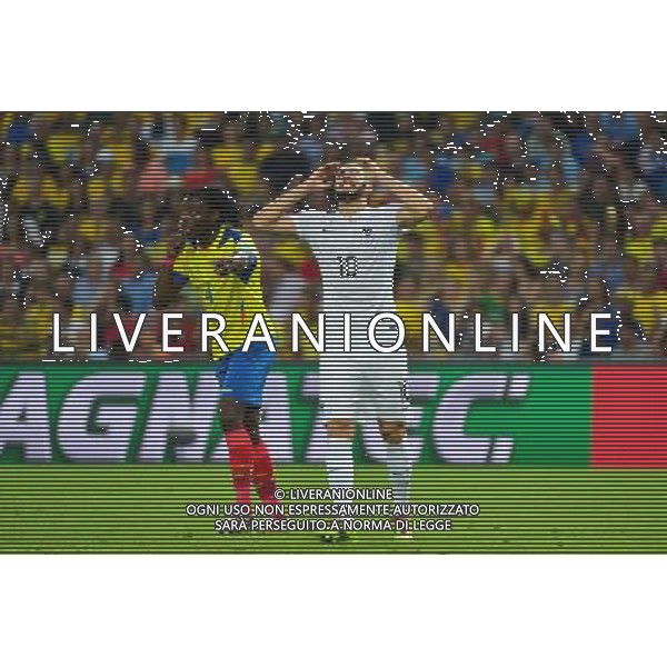 Karim BENZEMA - 25.06.2014 - France / Equateur - Coupe du Monde 2014 - Photo : Dave Winter / Icon Sport AG ALDO LIVERANI SAS ONLY ITALY