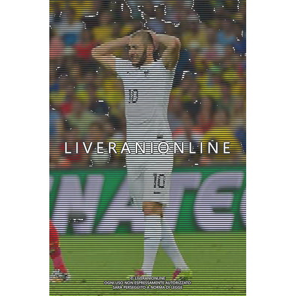 Karim BENZEMA - 25.06.2014 - France / Equateur - Coupe du Monde 2014 - Photo : Dave Winter / Icon Sport AG ALDO LIVERANI SAS ONLY ITALY